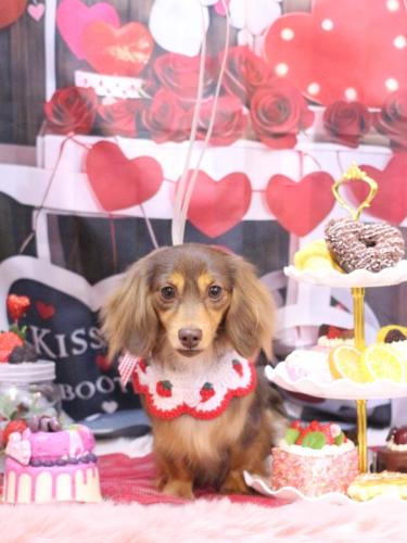 20250219モカちゃん